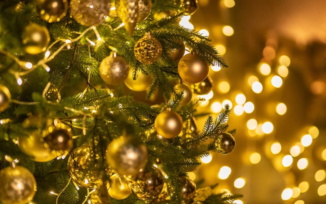 Industry Associations Promote Best Practices in Christmas Tree Fire Safety