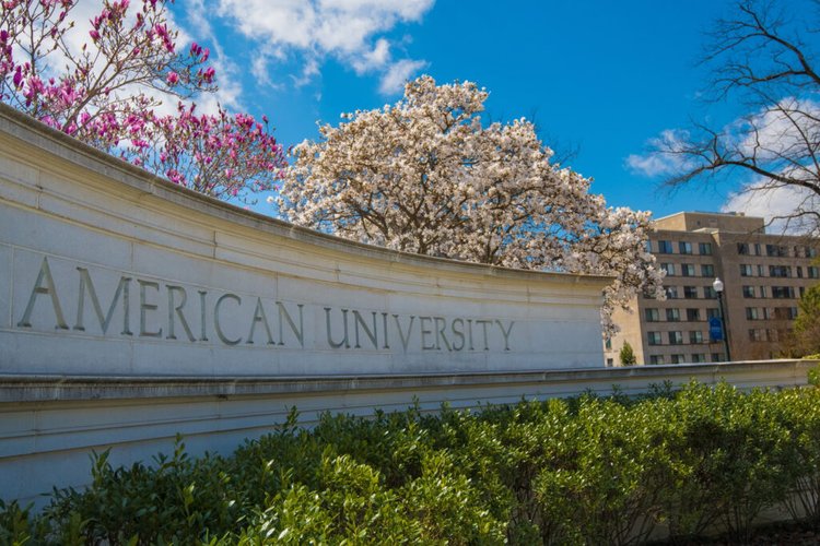 American University